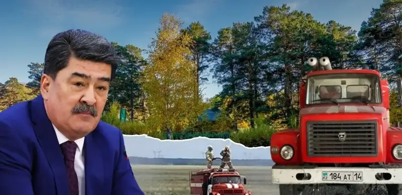 Ерлан Нысанбаев «Ертіс орманы»