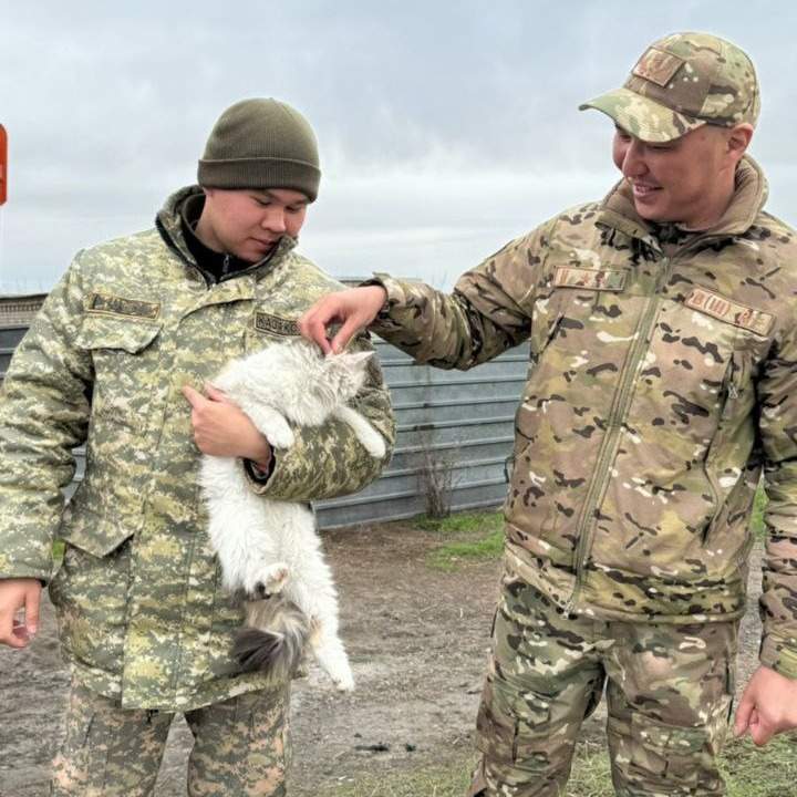 В МЧС поделились кадрами спасения животных в ЗКО и СКО