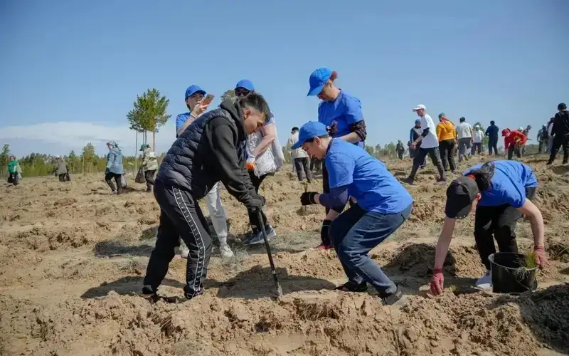  Kazakh President hails restoration of burnt-out pine woods in Semey