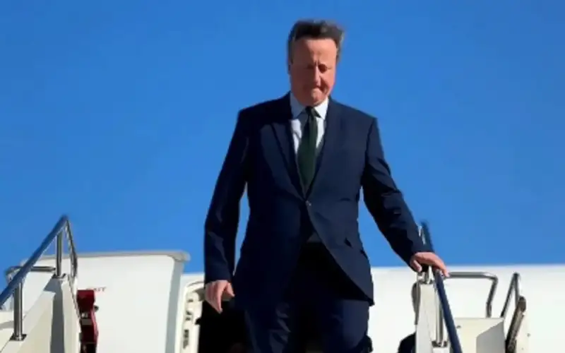 David Cameron 