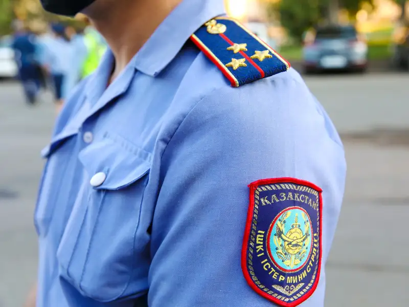 полиция, участковый, мвд, задержание, стражи порядка