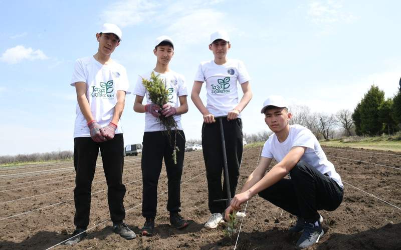Лесной фонд Алматинской области приумножился на&nbsp;10 тысяч саженцев