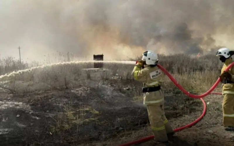 Возгорание камыша 