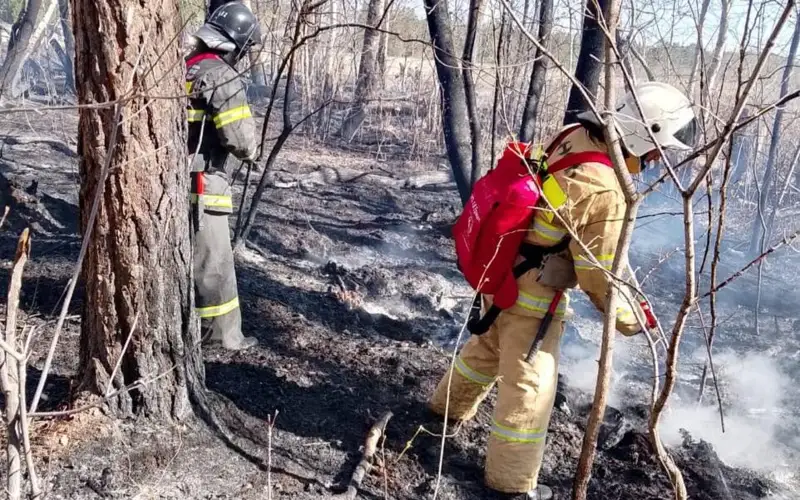 Абай облысы