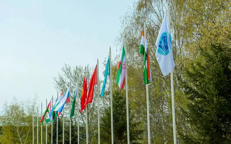 SCO