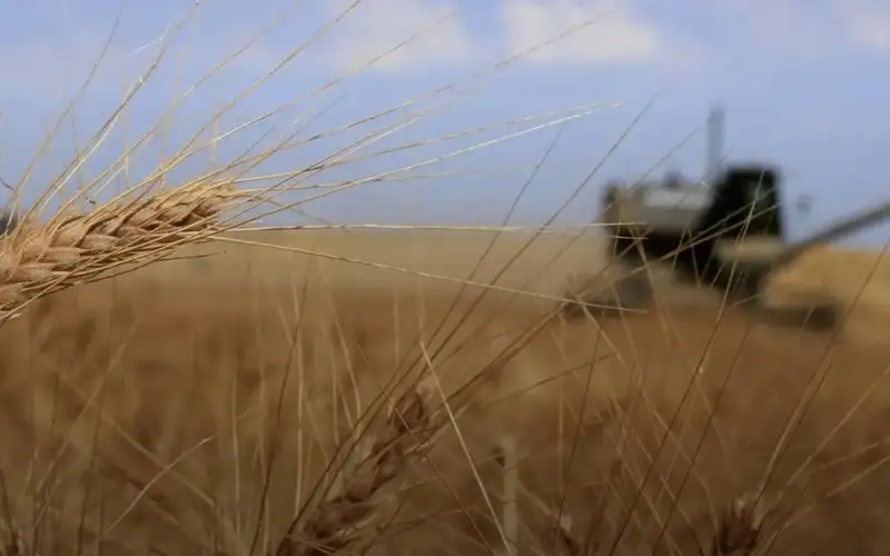 Harvesting