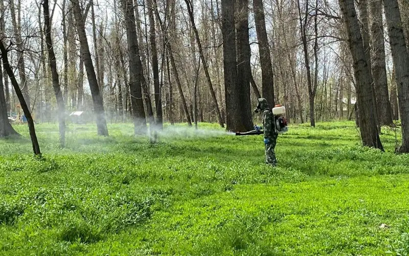 клещи санобработка