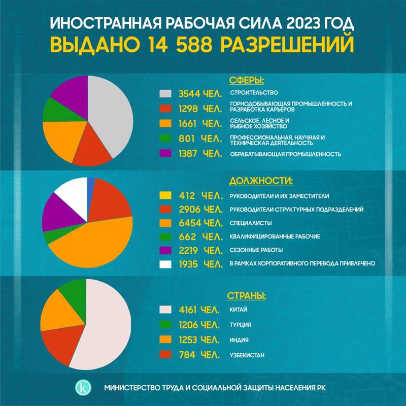 инфографика