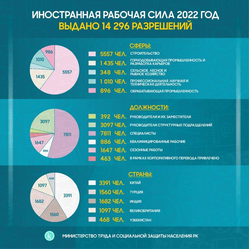 инфографика