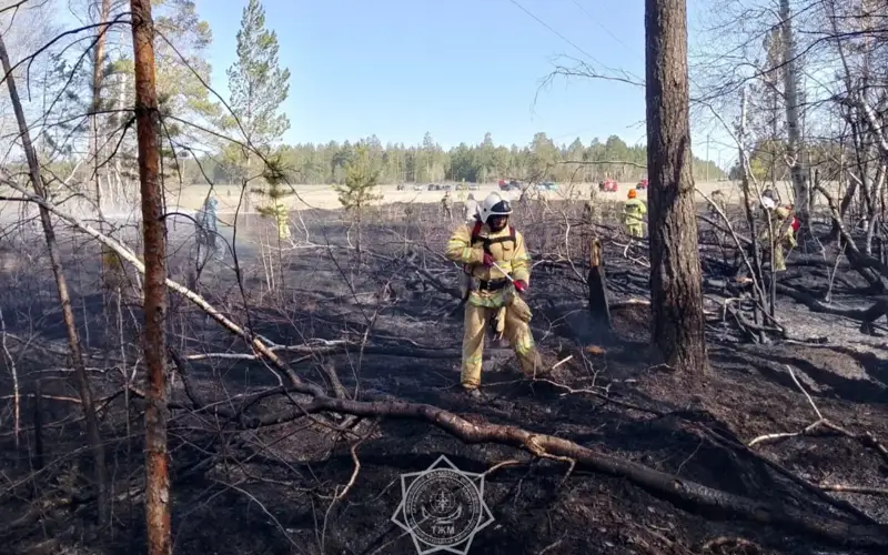 Горение на территории «Семей орманы» локализовано 