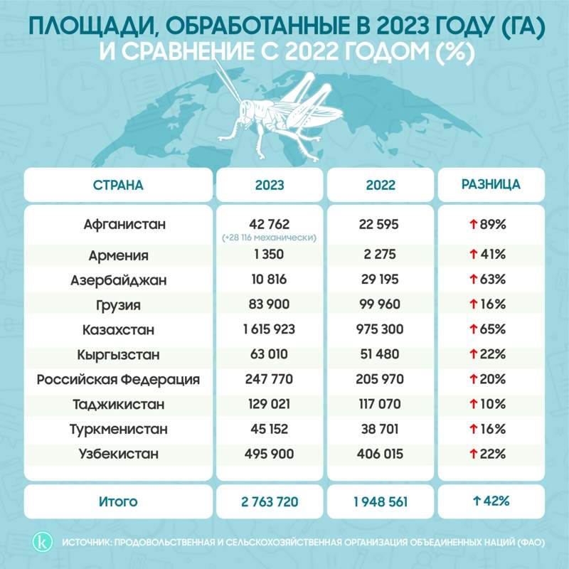 инфографика