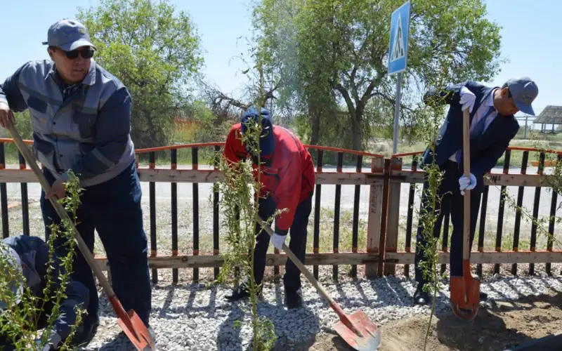 Крупные компании на территории Шиелийского района Кызылординской области также внесли свой вклад в акцию «Таза Қазақстан»