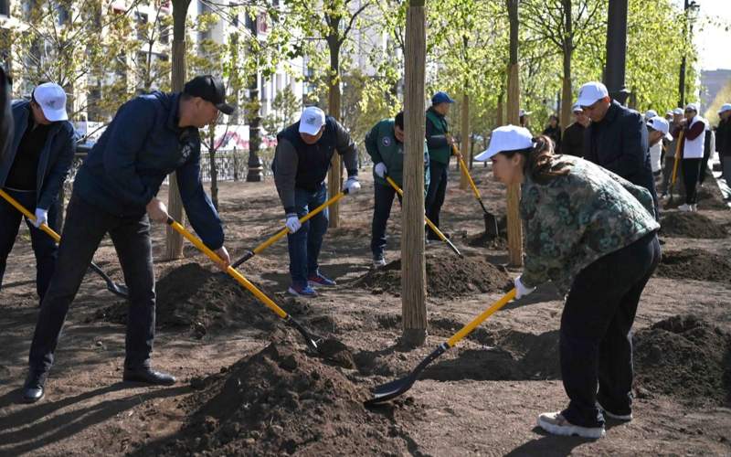 Citywide clean-up