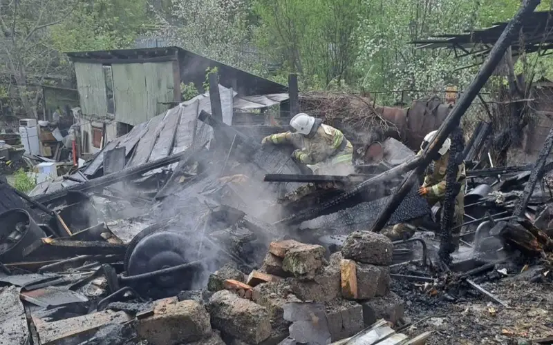 Хозпостройки сгорели в Алматы