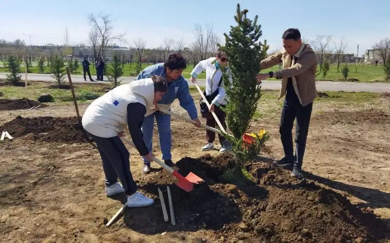 90 тысяч деревьев посадят в Караганде