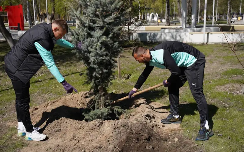 Футболисты «Елимая» посадили деревья в Семее