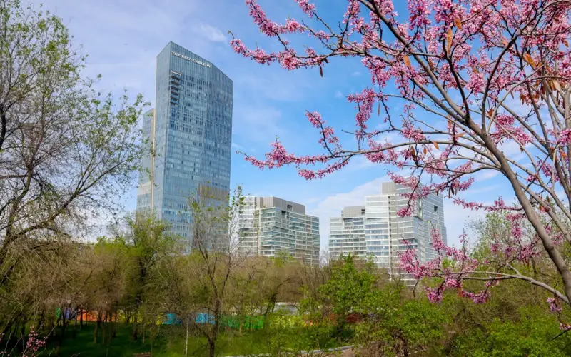 Алматы, субботник