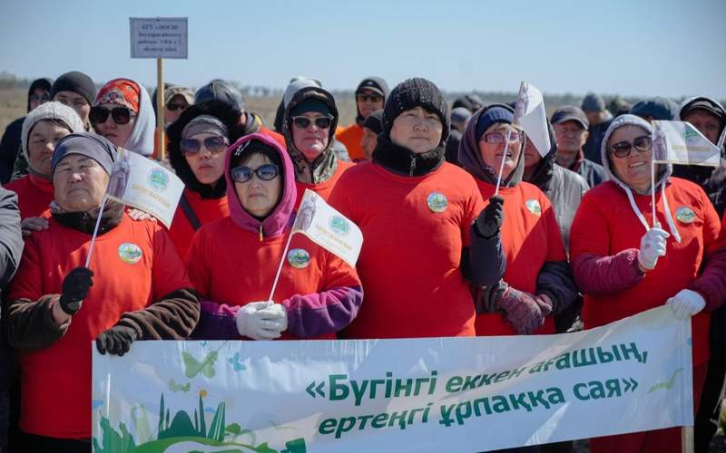 посадка деревьев, субботник