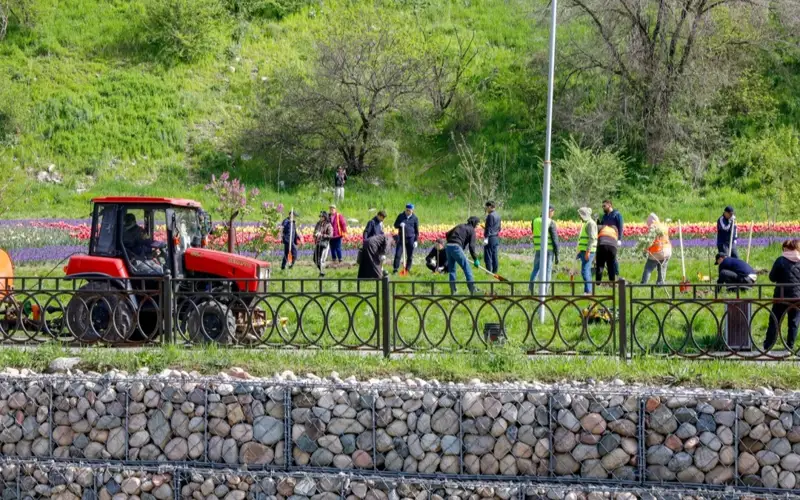 деревья в Алматы