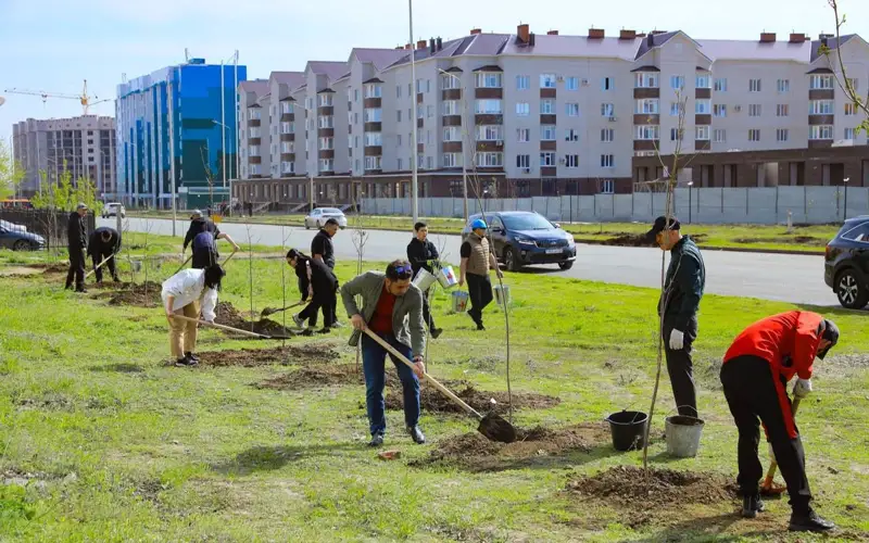 123 тысячи деревьев высадили в Актюбинской области