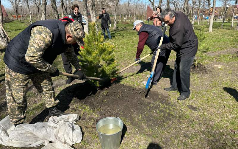 Более 19 тысяч саженцев деревьев высадили в СКО Более 19 тысяч саженцев деревьев высадили в СКО