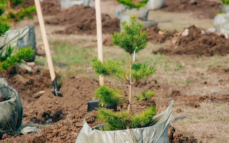 Сотни павлодарцев вышли на улицы города, чтобы сделать его зеленее и чище