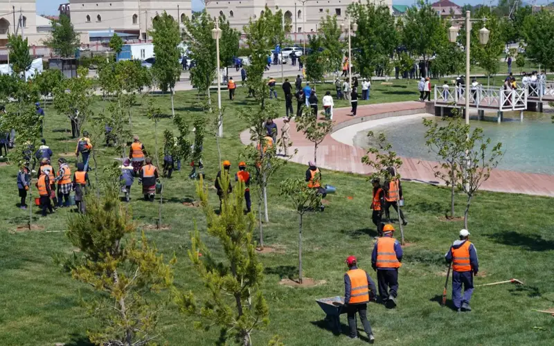 посадка деревьев, субботник