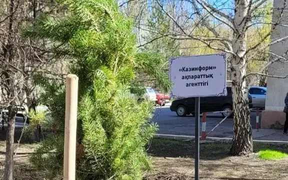 посадка деревьев, субботник