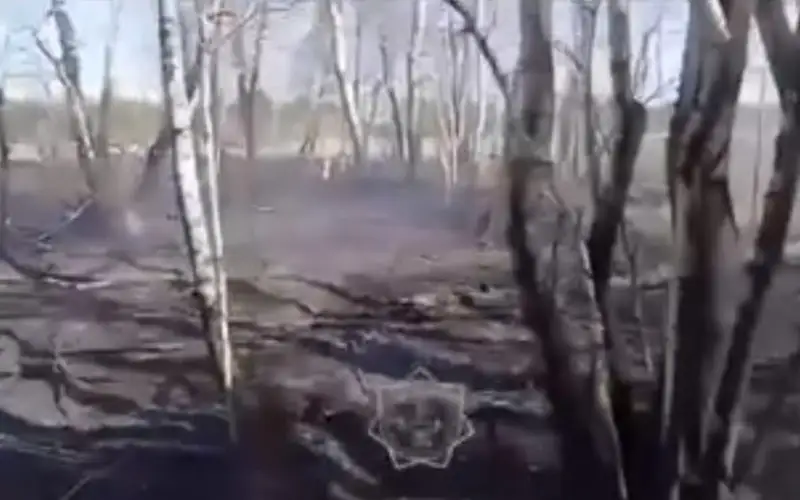 пожар в лесу