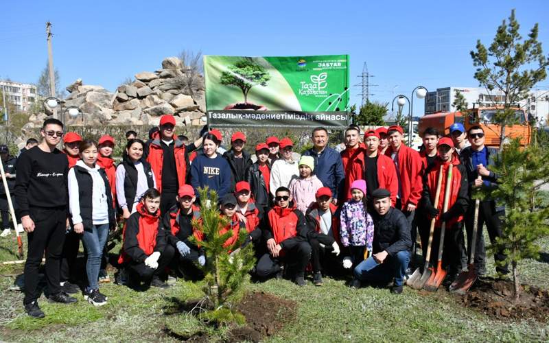 Дерево агентства Kazinform появилось на Аллее журналистов в Кокшетау посадка деревьев, субботник