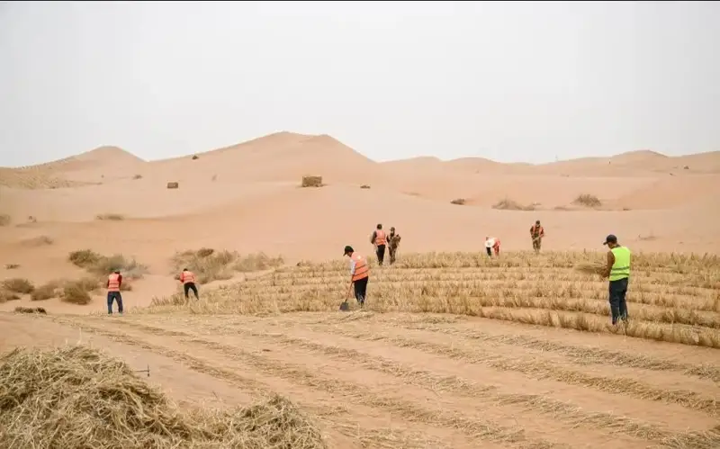 ички Мўғулистон