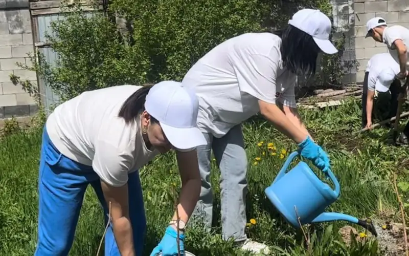 Более 800 волонтеров помогают пенсионерам навести порядок в их дворах в Алматы