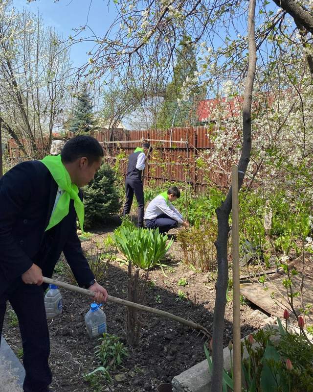 Более 800 волонтеров помогают пенсионерам навести порядок в их дворах в Алматы Более 800 волонтеров помогают пенсионерам навести порядок в их дворах в Алматы