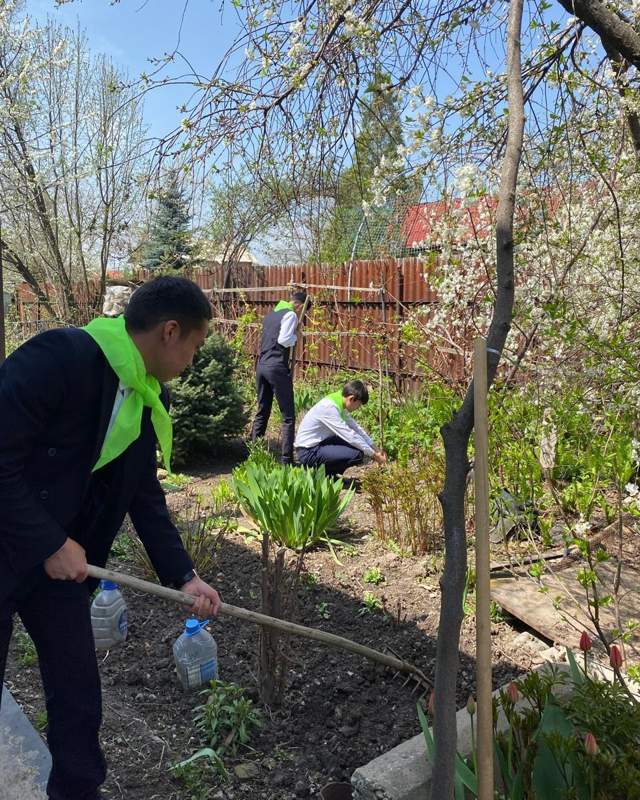 Более 800 волонтеров помогают пенсионерам навести порядок в их дворах в Алматы