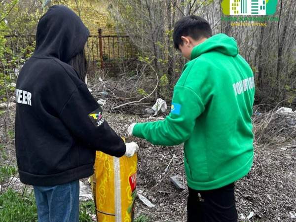 Волонтеры Волонтеры