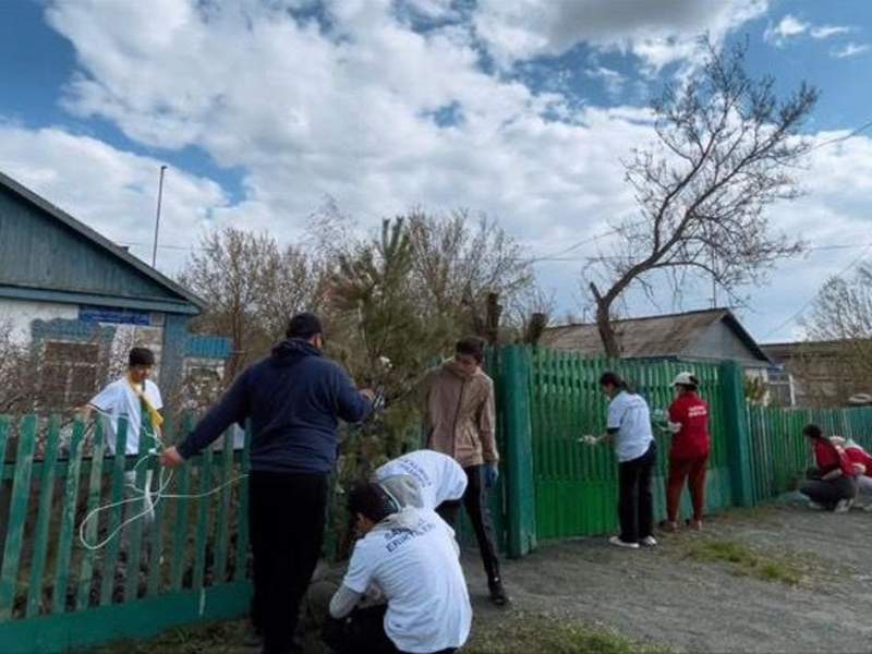 Волонтеры Волонтеры