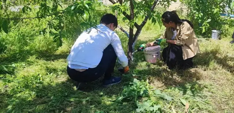 Shymkent