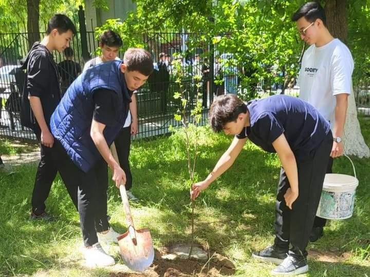 Акцию «Аллея выпускников» проводят в Шымкенте Акцию «Аллея выпускников» проводят в Шымкенте