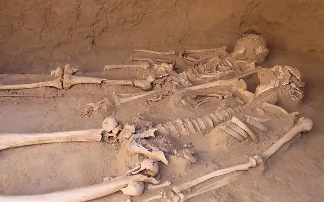 Останки двух человек найдены на производственном участке в ВКО