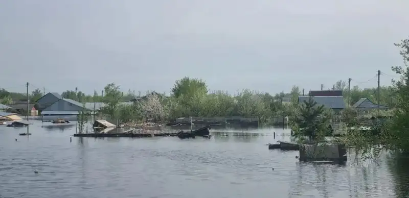 Environment