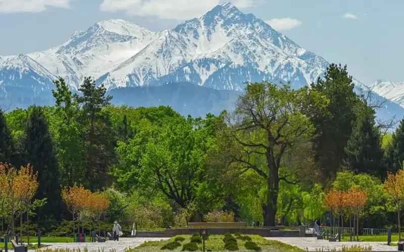 ботаникалық бақ