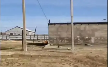 85% пострадавших от паводка домов подключены к газоснабжению в Кульсары