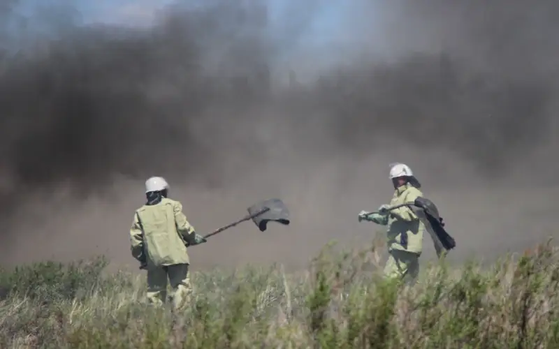 пожары в павлодарской области