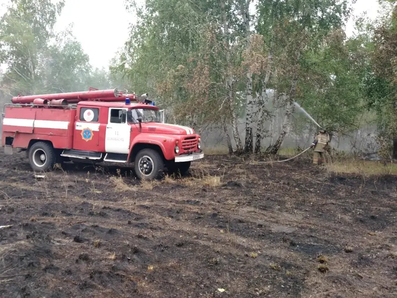 Лесные пожары