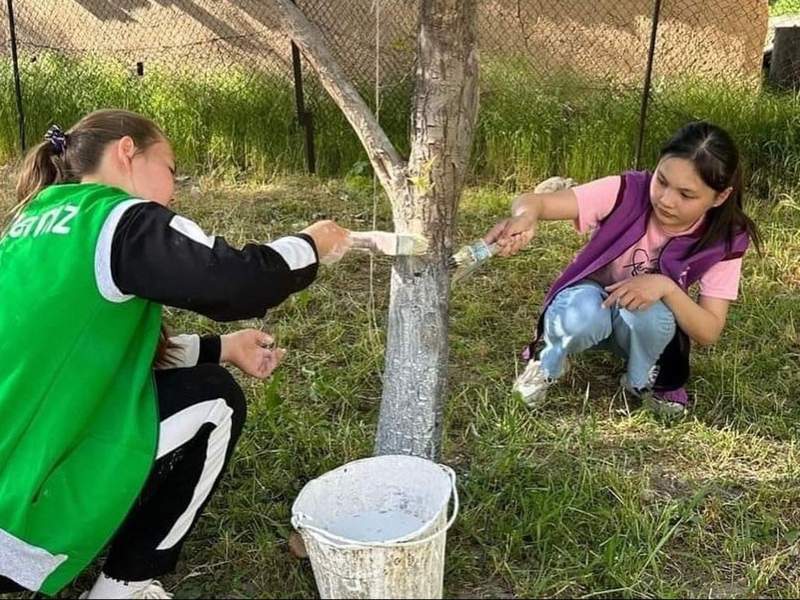 Түркістан облысының Өңірлік коммуникациялар қызметі