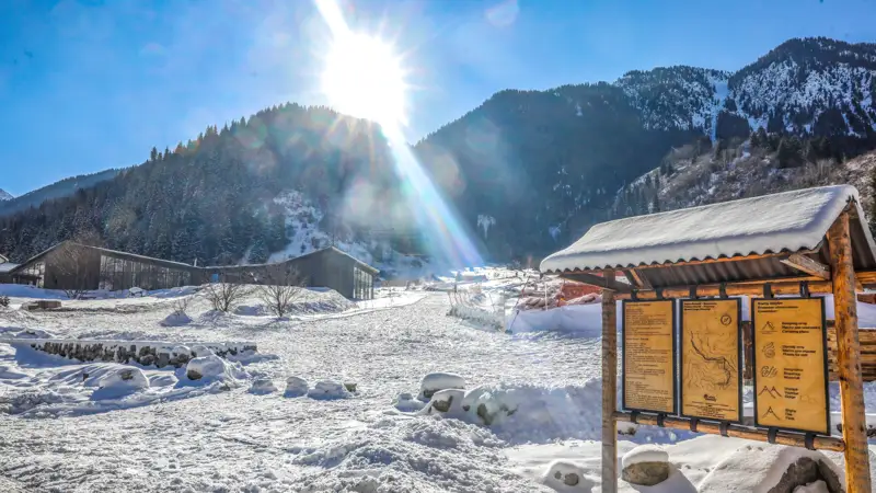 Алматы тауларында