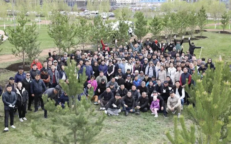 Аллею из сосен высадили сотрудники ТРК Президента