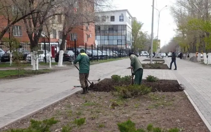 ,5 млн цветов высадят в парках и скверах Караганды