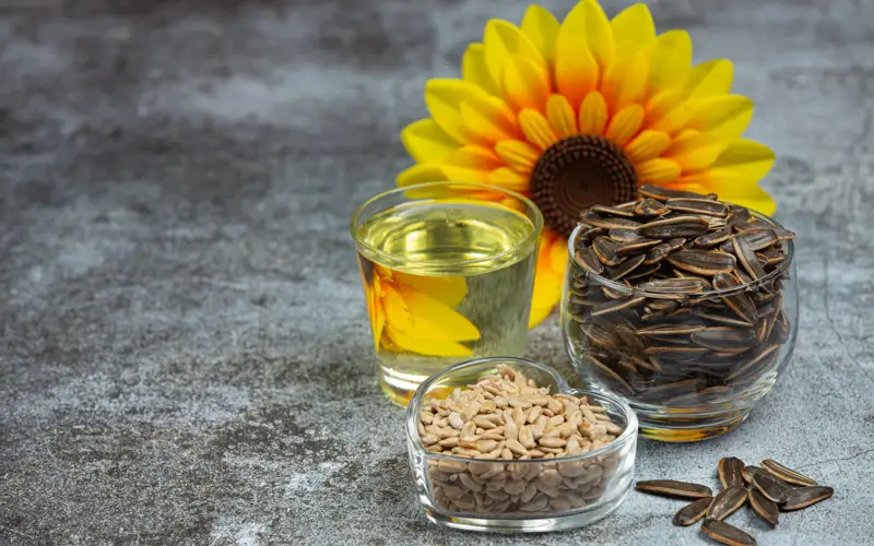 Казахстан увеличил экспорт подсолнечного шрота в ЕС более чем в 2 раза