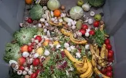 Discarded food